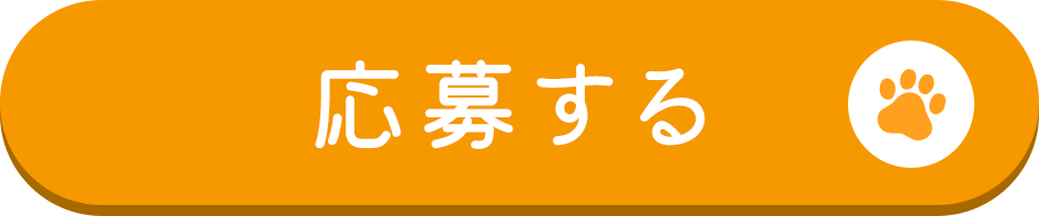 応募する
