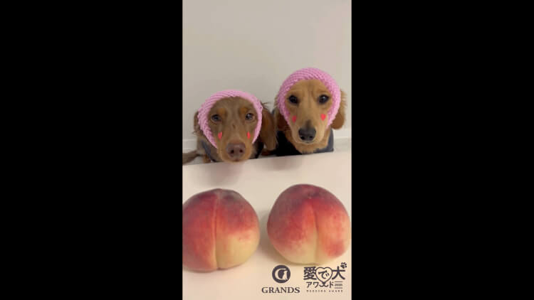 くったん様・よよたん様の動画サムネイル