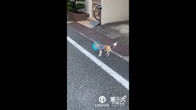 クレア様の動画サムネイル