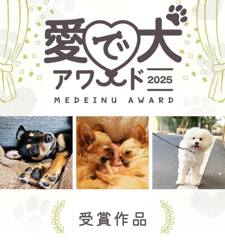 2025愛で犬アワード 受賞作品