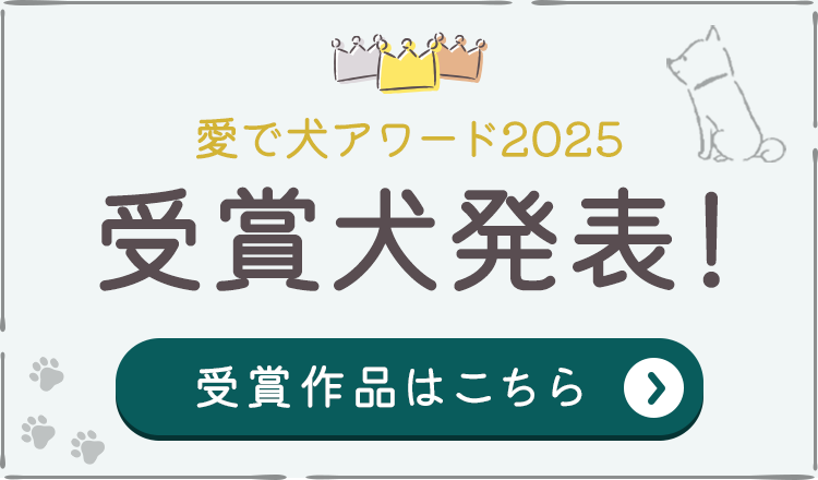 愛で犬アワード2025受賞犬発表！受賞作品はこちらから！