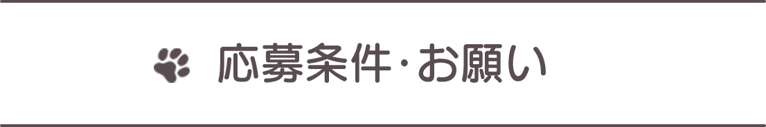 応募条件・お願い