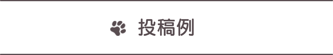投稿例