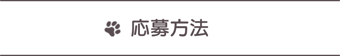 応募方法