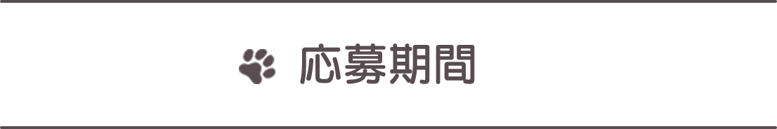 応募期間