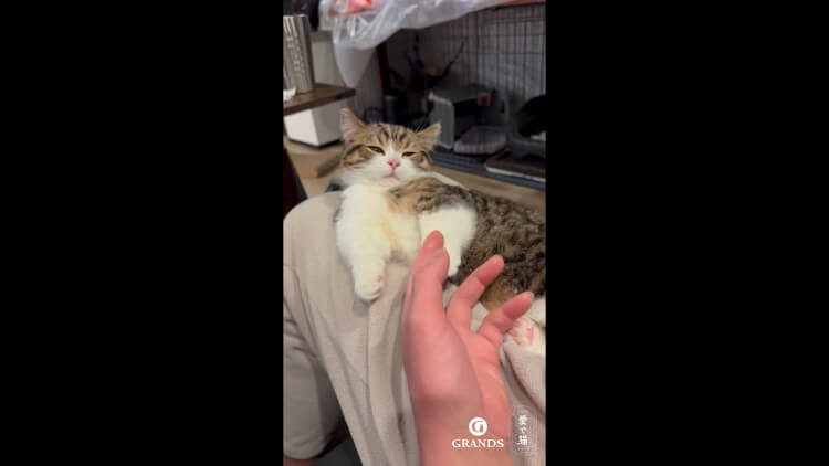 むぅ様の動画サムネイル