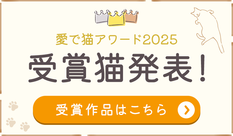 愛で猫アワード2025受賞猫発表！受賞作品はこちらから！