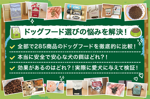ドッグフードの神様