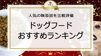 グランツドッグフード私の口コミ｜驚きと魅力を発表します！