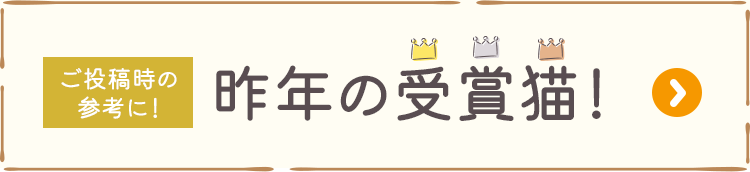 ご投稿時の参考に！昨年の受賞猫はこちら