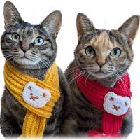 アンバサダー：福来とちょめのアイコン