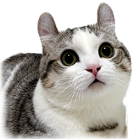 アンバサダー：レビンのアイコン