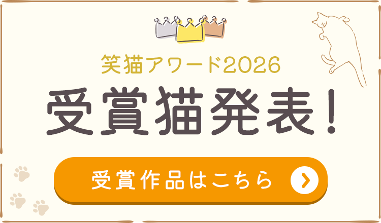 笑猫アワード2026の受賞猫発表！受賞作品はこちら！
