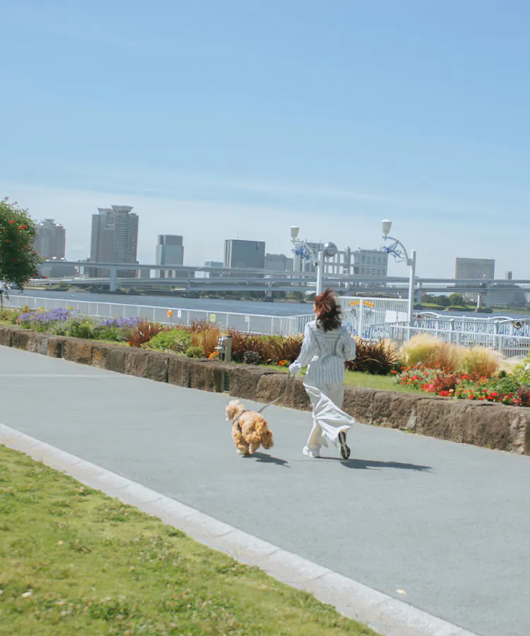 海辺を散歩する家族と愛犬
