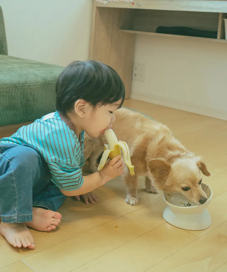 愛犬の食事をそばで見守る子ども