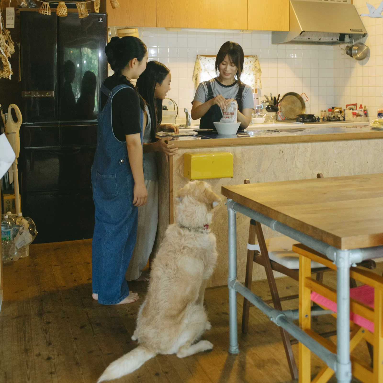 家族と愛犬がキッチンでごはんづくりを見守る様子