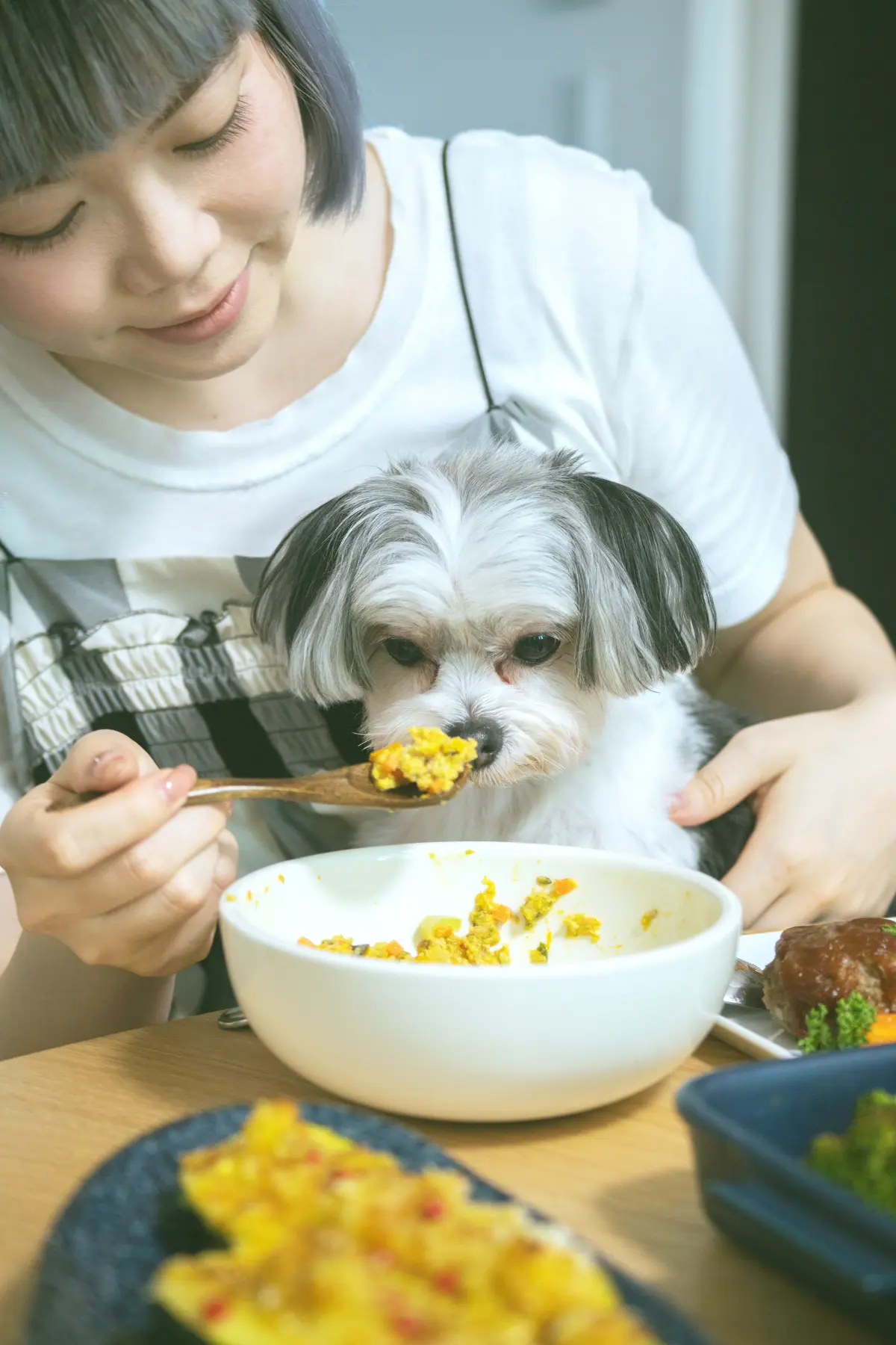 飼い主が愛犬にPetonを食べさせる様子