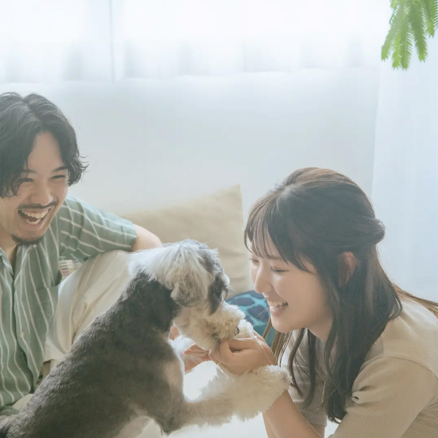 愛犬と食事の時間を楽しむ家族
