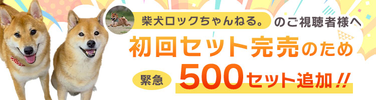 「柴犬ロックちゃんねる。」のご視聴者様へ、コラボセットのご案内