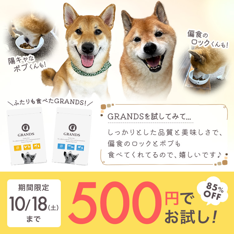 期間限定10月18日（土曜日）まで、85%OFFの500円でお試しできます。柴犬ロックちゃんねる。のご家族からのコメントをご紹介「しっかりとした品質と美味しさで、偏食のロックとボブも食べてくれるので、嬉しいです」