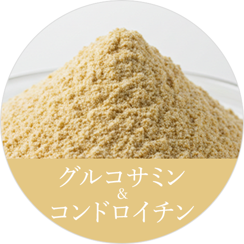 グルコサミン コンドロイチン