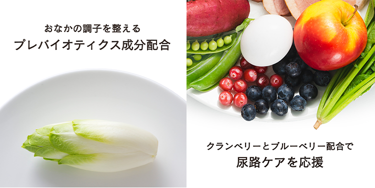 おなかの調子を整えるプレバイオティクス成分配合・クランベリーとブルーベリー配合で尿路ケアを応援