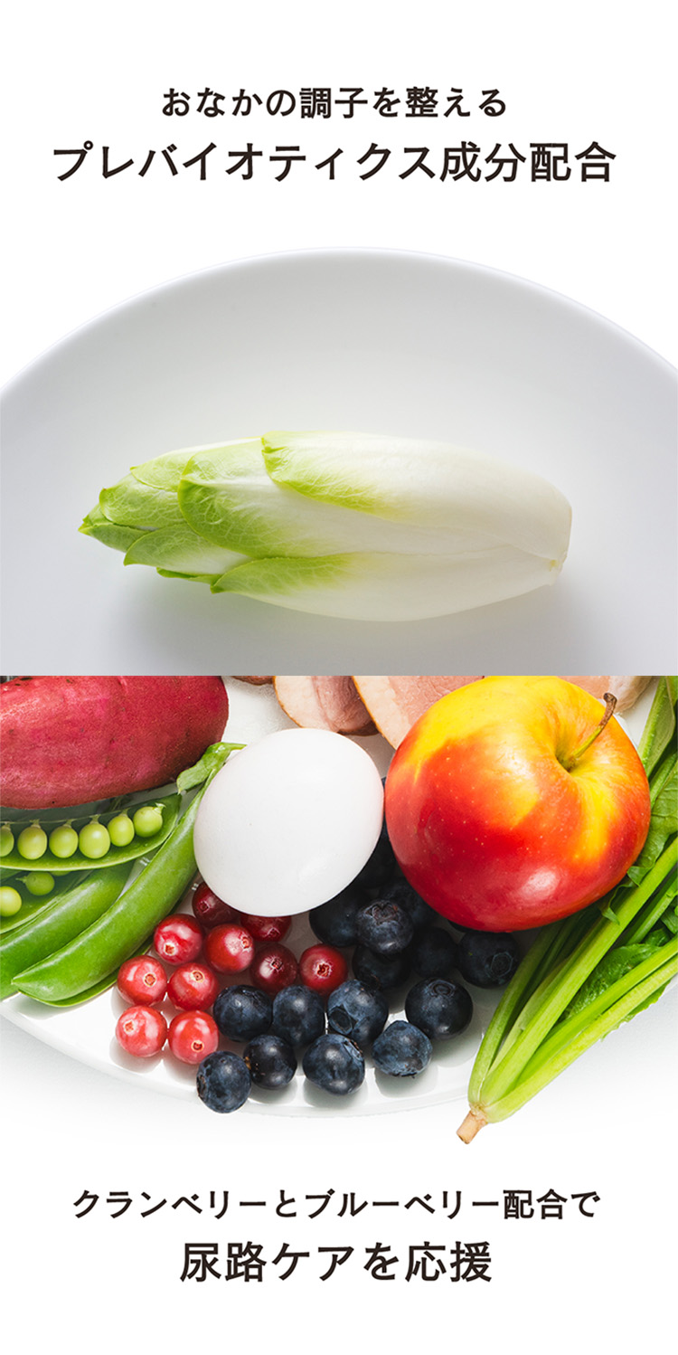 おなかの調子を整えるプレバイオティクス成分配合・クランベリーとブルーベリー配合で尿路ケアを応援