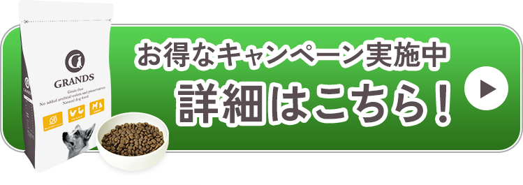 お得なキャンペーン実施中！詳細はこちら