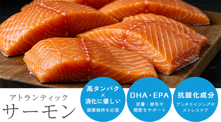 アトランティックサーモン。高タンパクで消化に優しく、健康維持を応援。DHA・EPAで皮膚・被毛や関節をサポート。抗酸化成分でアンチエイジングやストレスケア。