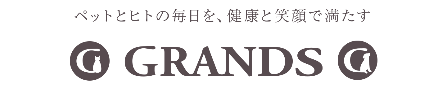 バナー画像