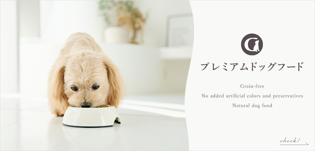 バナー画像