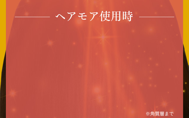 ヘアモア使用時 ※角質層まで