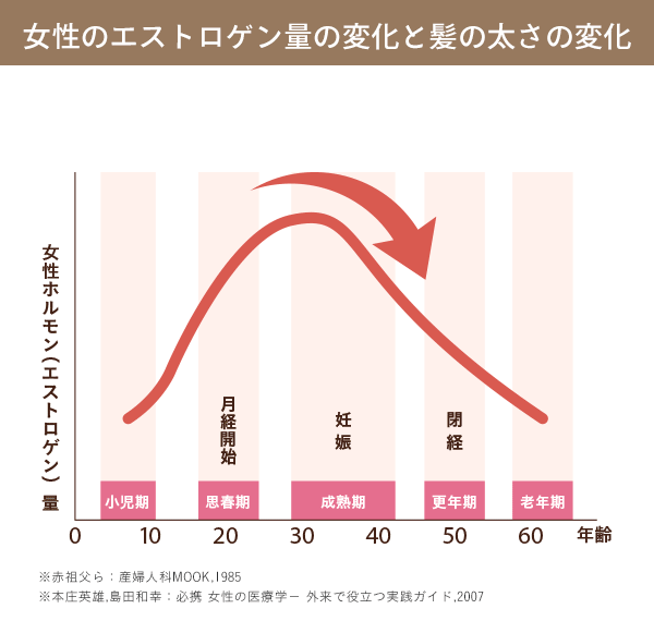 女性のエストロゲン量の変化と髪の太さの変化