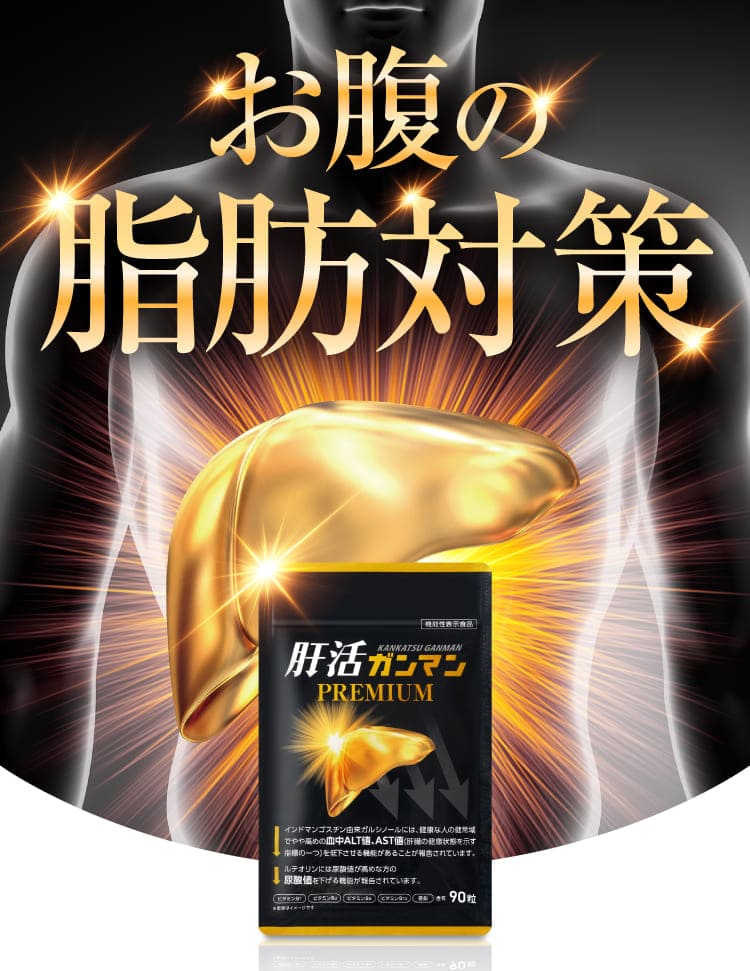 お腹の脂肪対策