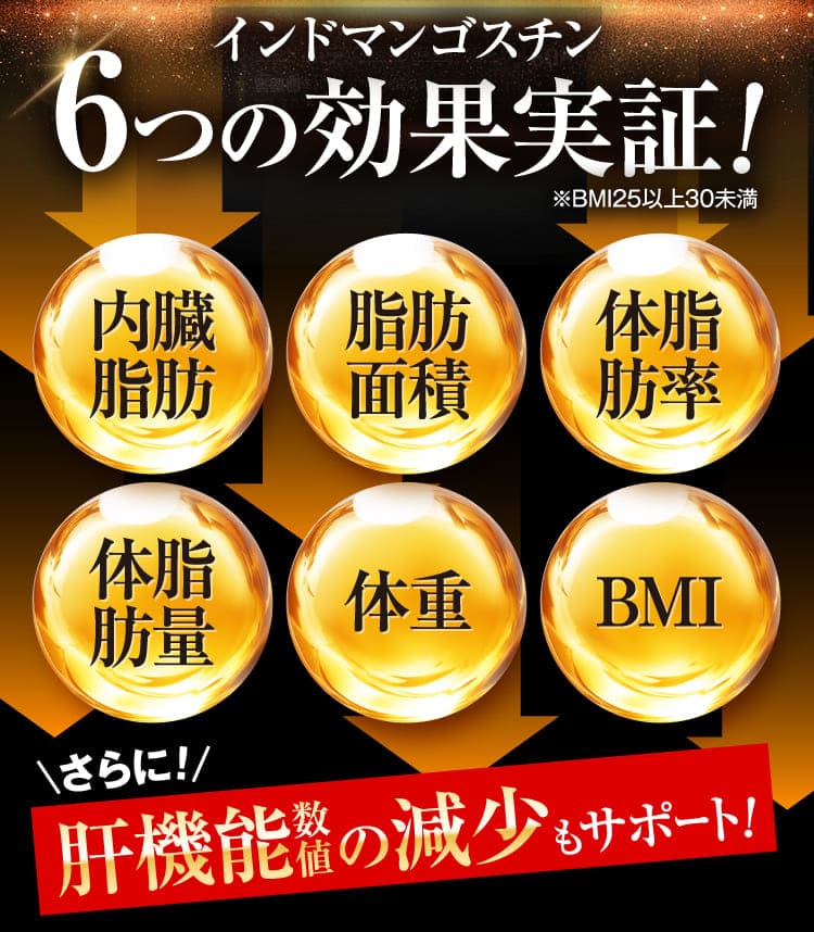 6つの効果実証！