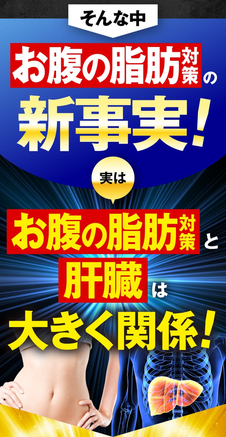 お腹の脂肪対策の新事実！