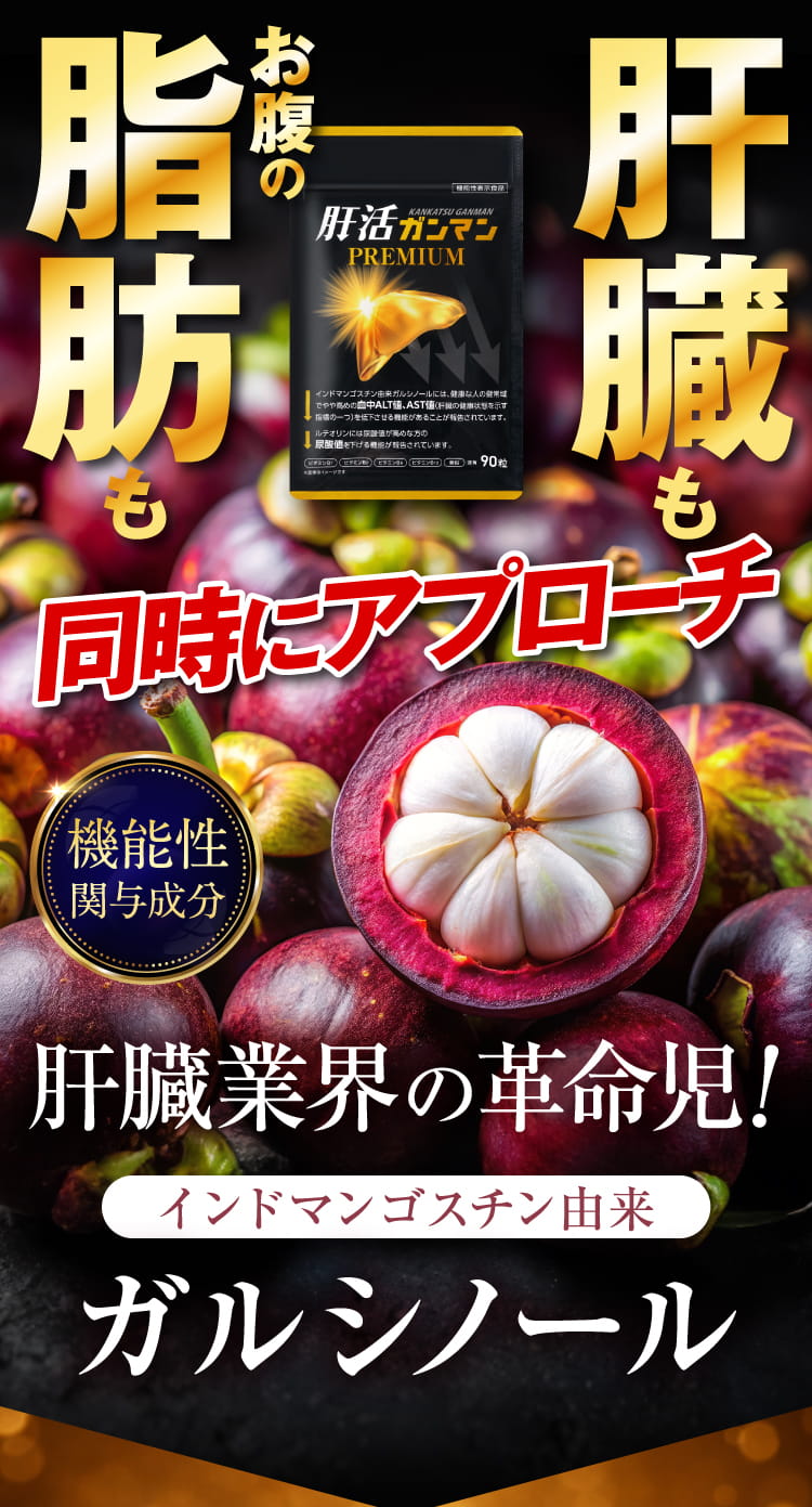 お腹の脂肪も肝臓も同時にアプローチ