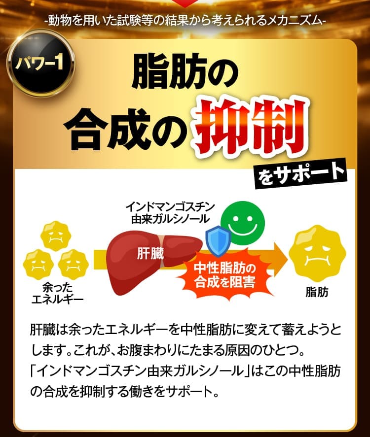 脂肪の合成の抑制