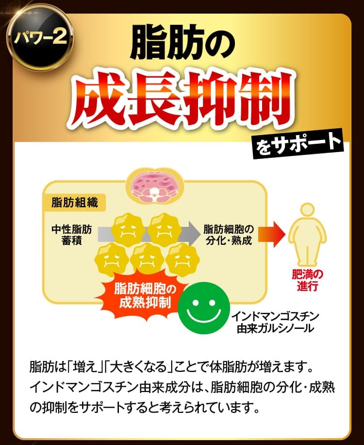脂肪の成長抑制