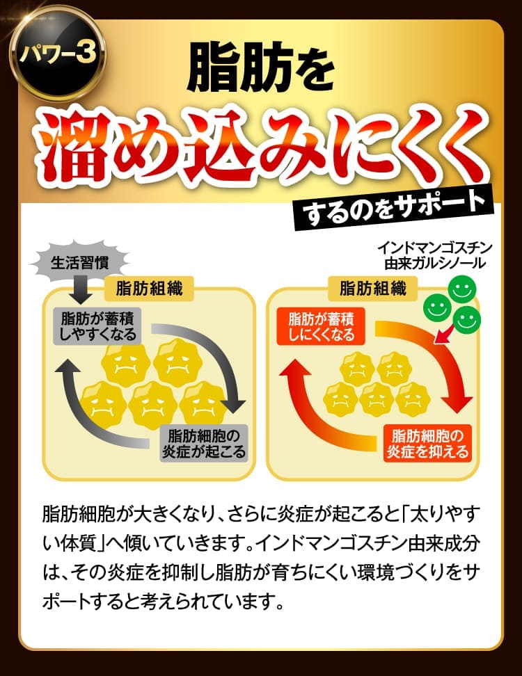 脂肪を溜め込みにくく