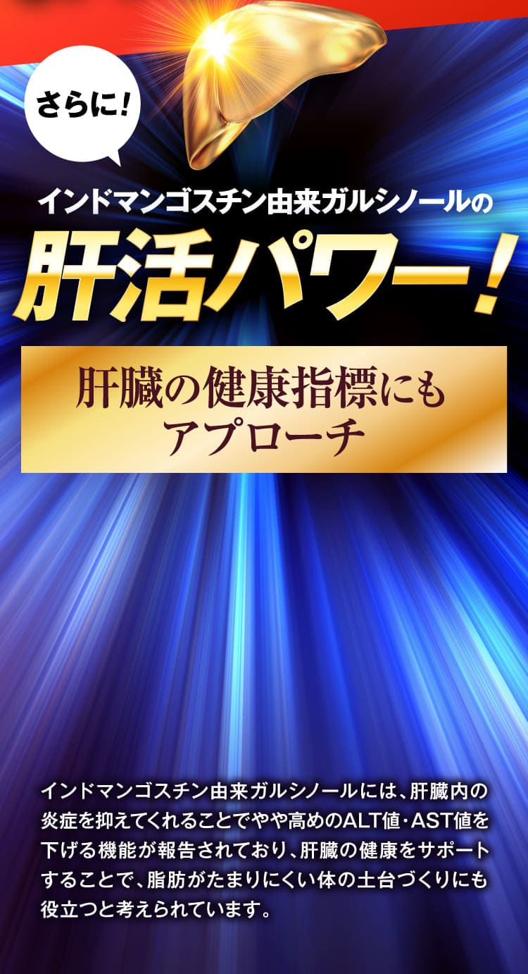 肝活パワー！