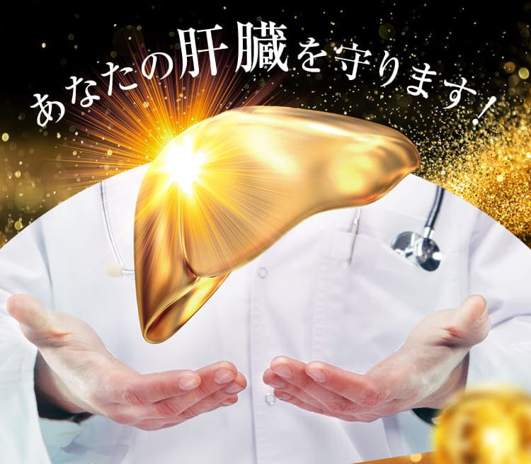 あなたの肝臓を守ります！