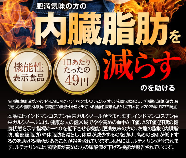 内臓脂肪を減らす