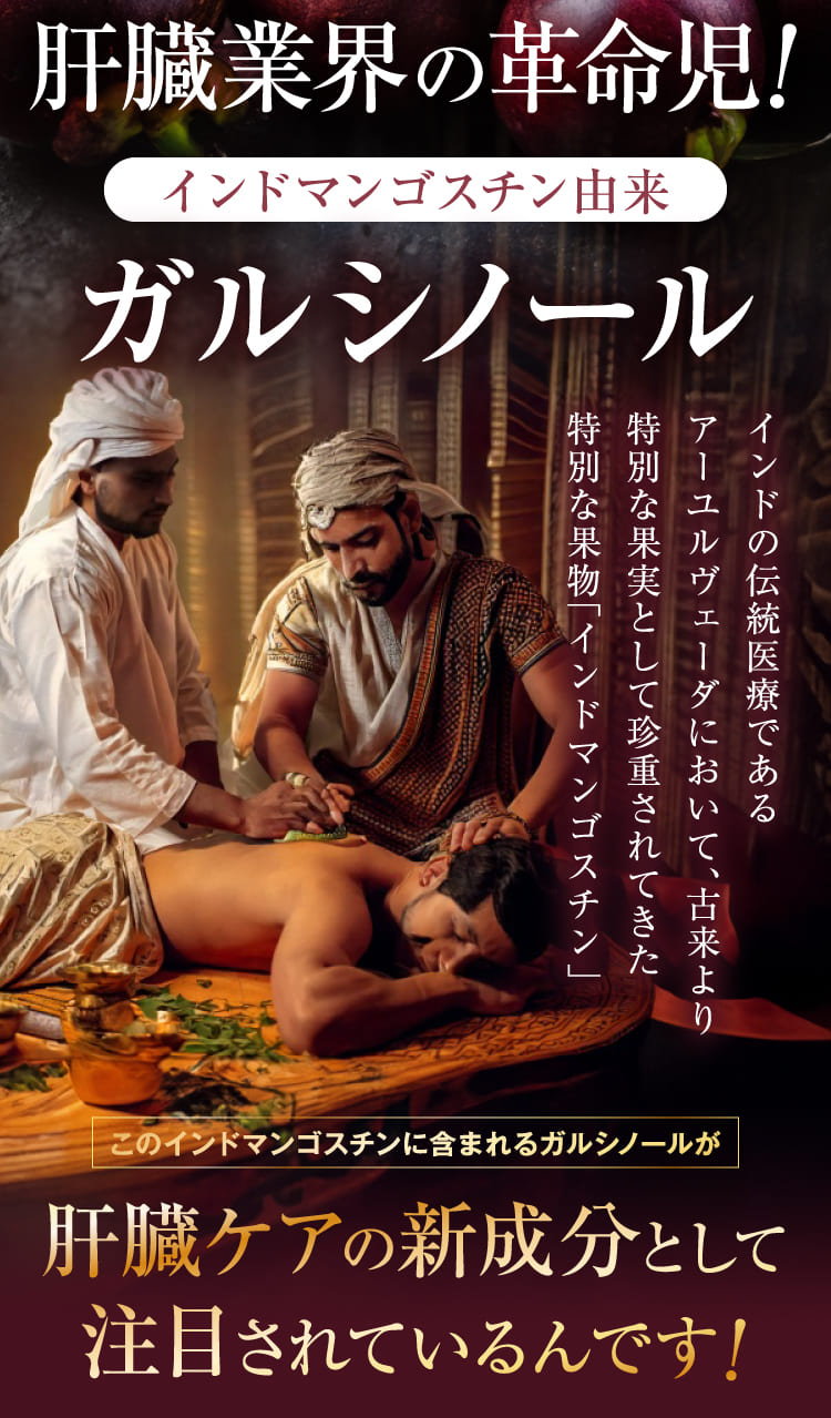 肝臓業界の革命児！インドマンゴスチン由来ガルシノール