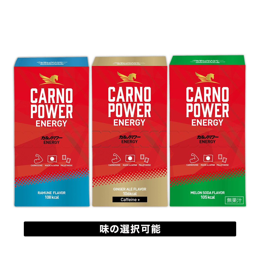 カルノパワーENERGY（10個箱入）