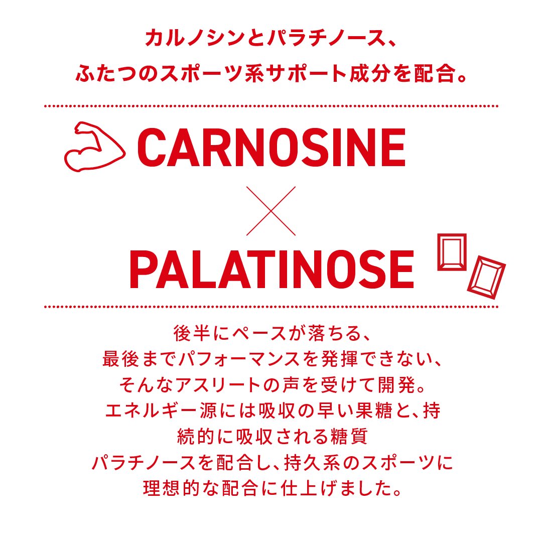 【期間限定1個増量！】カルノパワーENERGY 3個セット ※送料無料