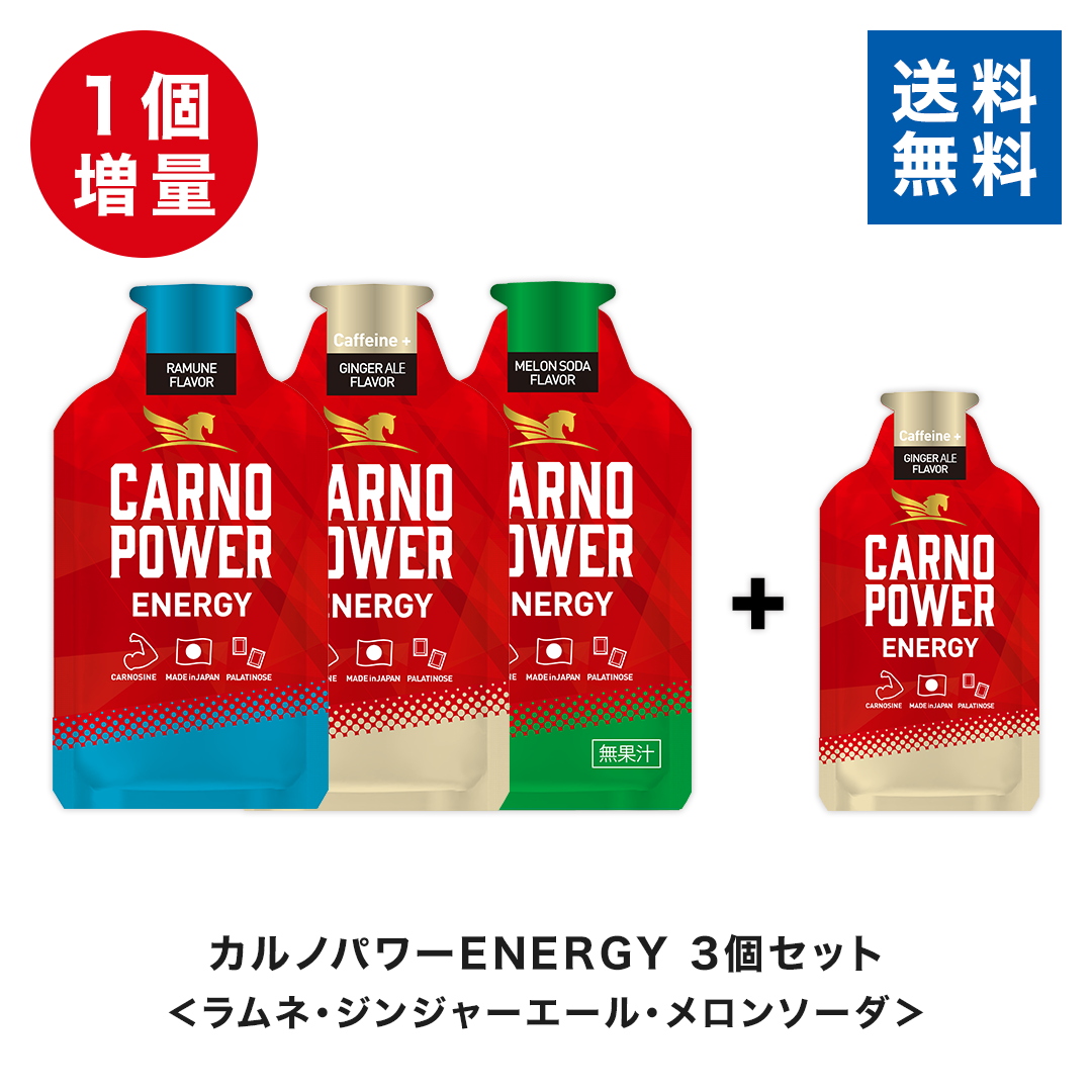 【期間限定1個増量！】カルノパワーENERGY 3個セット ※送料無料