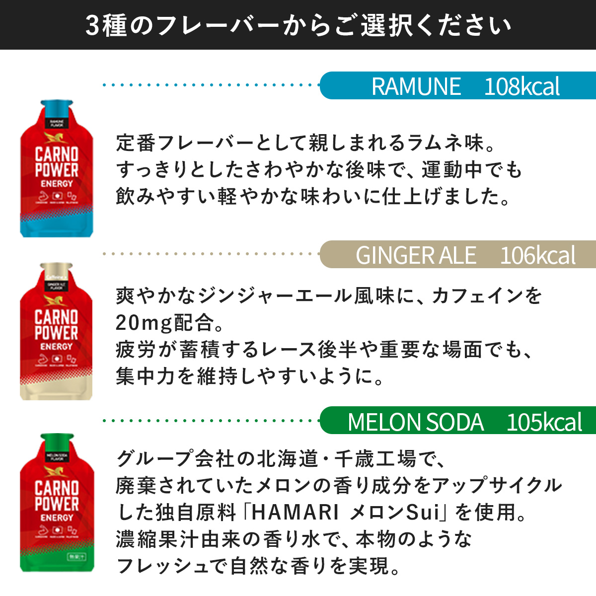 【定期】カルノパワーコンプリートセット 味: ラムネ味