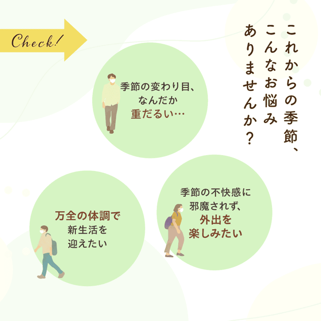 【定期】甜茶α（120粒）