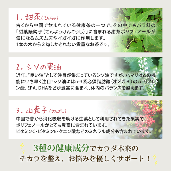【２袋セット】甜茶α （120粒×2袋）